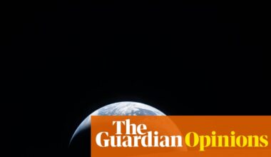 Digested week: NeeDohs, Knox and news from the far side of the moon | Emma Brockes
