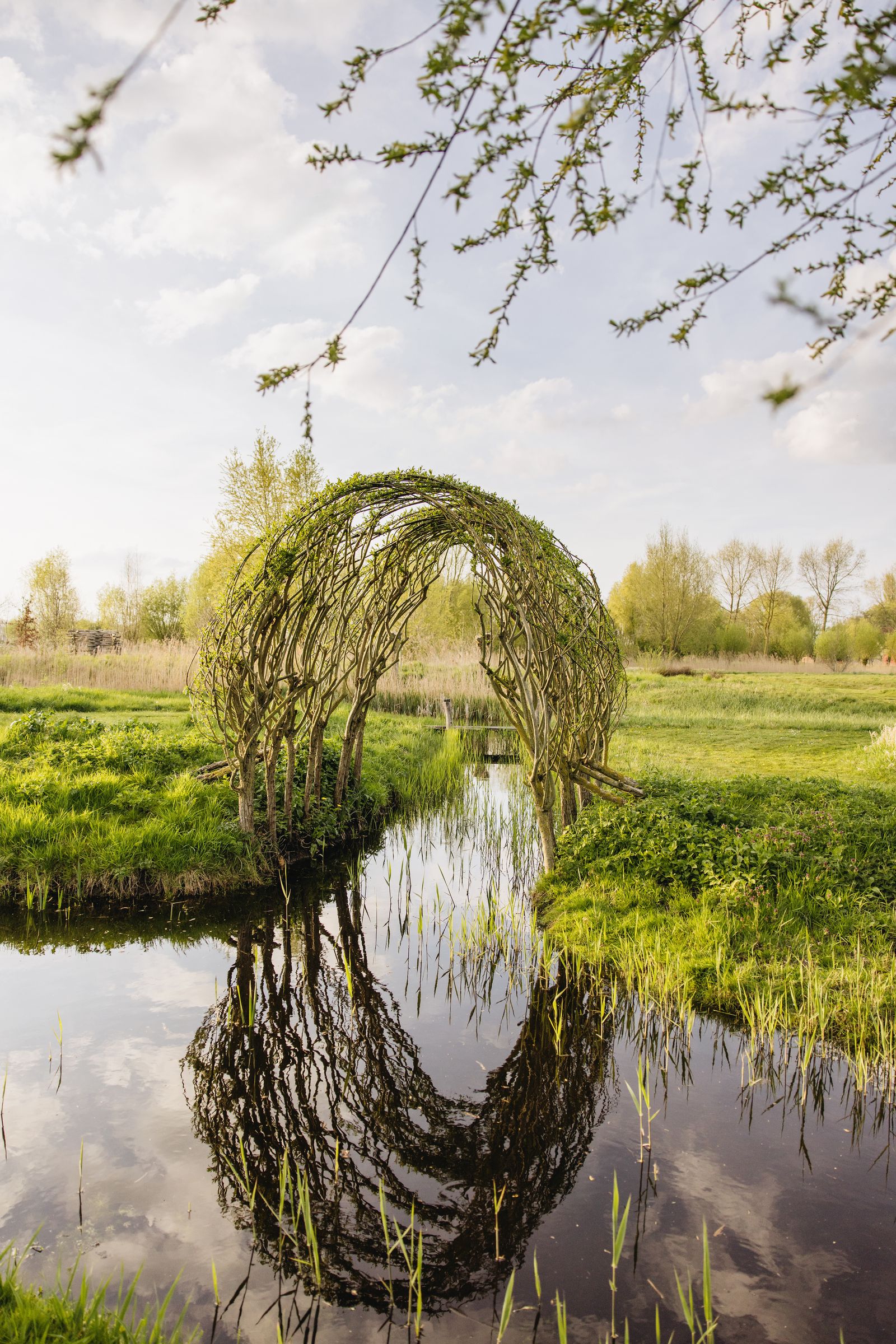 Image may contain Nature Outdoors Pond Water Plant Vegetation Land Tree Scenery Grass Arch and Architecture