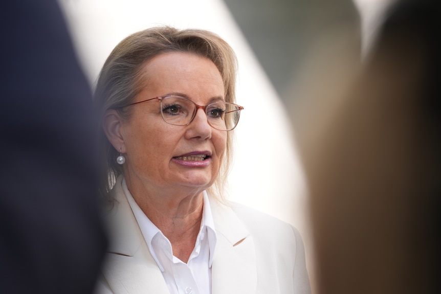 Sussan Ley talks to the press