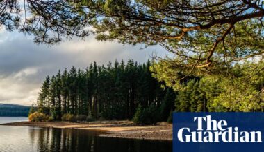 ‘The vast wooded wilderness doesn’t look like England’: exploring Northumberland’s Kielder Forest | Northumberland holidays