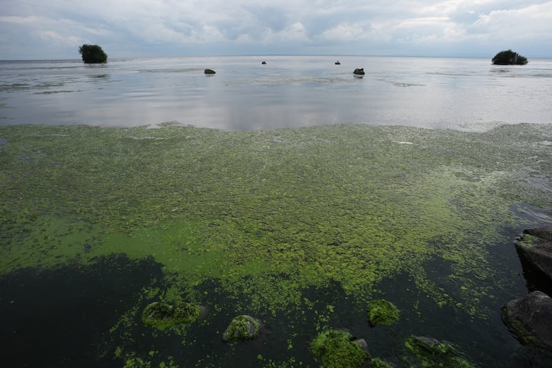 The Agriculture Minister has said he will end the ‘the licence to pollute granted to Northern Ireland Water’ as he unveiled plans to strengthen enforcement around water pollution