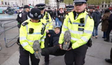 Over 200 arrests at pro-Palestine Action rally including 82-year-old - London Evening Standard