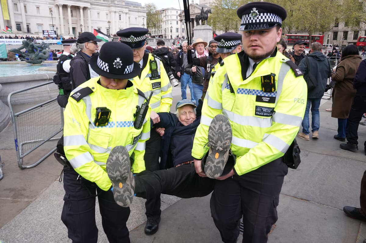 Over 200 arrests at pro-Palestine Action rally including 82-year-old - London Evening Standard