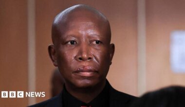 A head and shoulders image of Julius Malema in court.