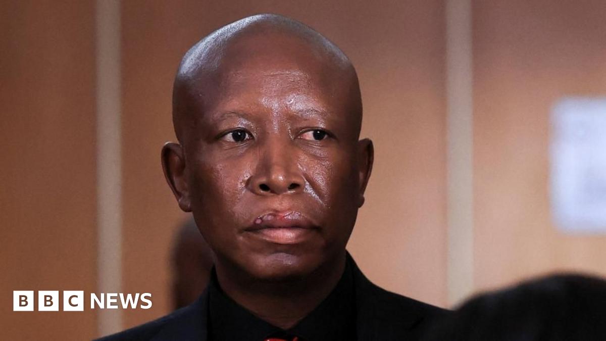 A head and shoulders image of Julius Malema in court.