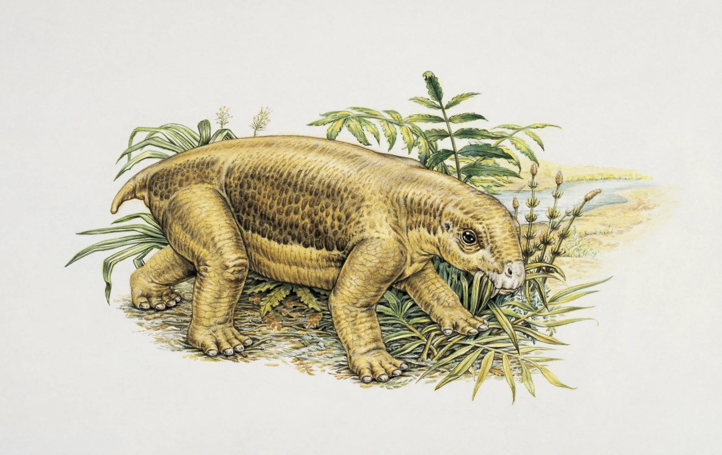 Illustration of a Lystrosaurus, a Triassic period reptile, depicted in a natural habitat with dense green foliage.