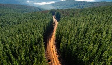 The gravelliest UCI Gravel World Championships of them all – A detailed look at the 'perfect storm' of terrain that riders will face this October in Western Australia