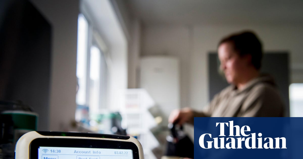 Give all UK households a set amount of subsidised energy, says thinktank | Energy industry