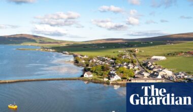 More than 15m oysters to be released in the North Sea for UK rewilding project | Marine life