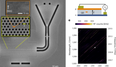 A quantum-coherent photon–emitter interface in the original telecom band