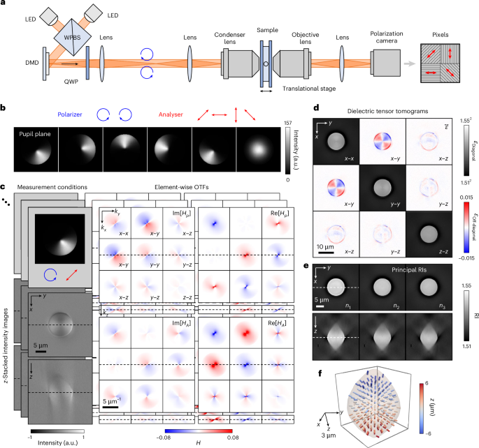 Incoherent dielectric tensor tomography for quantitative three-dimensional measurement of biaxial anisotropy