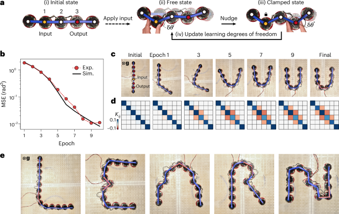 Metamaterials that learn to change shape