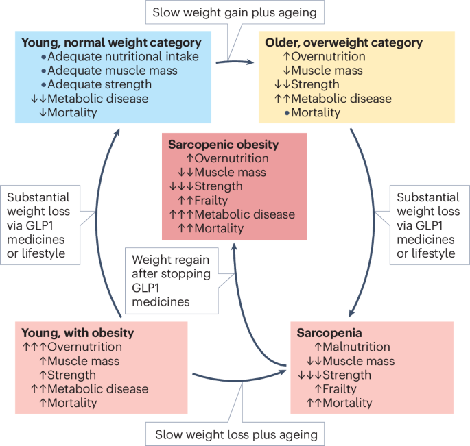 Causes of sarcopenia and frailty in people taking GLP1RAs