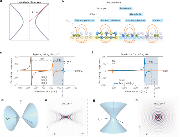 Transport of polaritons in hyperbolic media