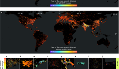 Satellite imagery reveals increasing volatility in human night-time activity