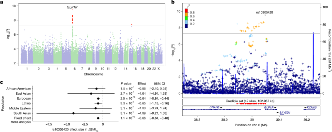 Genetic predictors of GLP1 receptor agonist weight loss and side effects