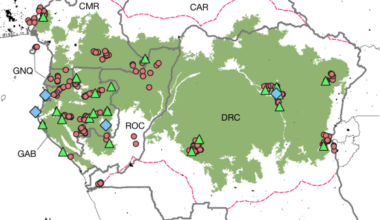 Increase in wild animal consumption across Central Africa