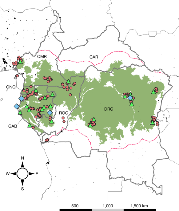 Increase in wild animal consumption across Central Africa