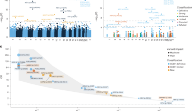 Large-scale exome analyses reveal new rare variant contributions in amyotrophic lateral sclerosis