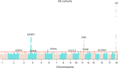 Multi-ancestry genome-wide association study of severe pregnancy nausea and vomiting