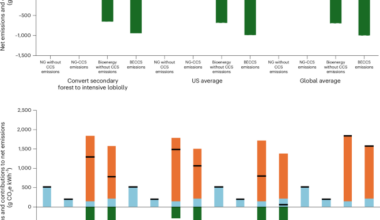 Decades of increased emissions from forest-fuelled BECCS