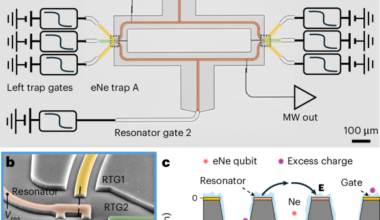 Solid neon as a noise-resilient host for electron qubits above 100 mK