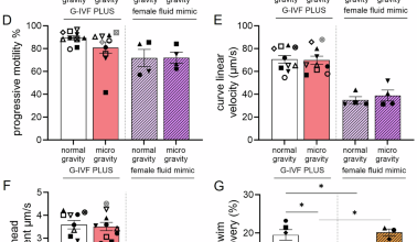 Simulated microgravity alters sperm navigation, fertilization and embryo development in mammals