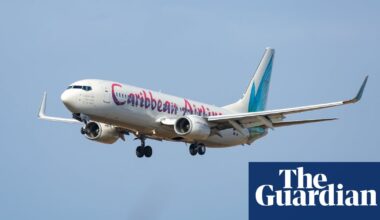 Stork warning: woman gives birth midair on Jamaica-to-New York flight | New York