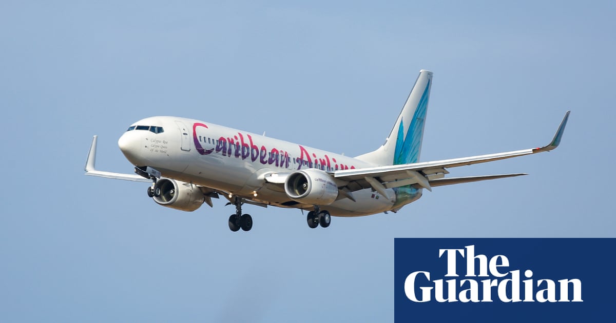 Stork warning: woman gives birth midair on Jamaica-to-New York flight | New York
