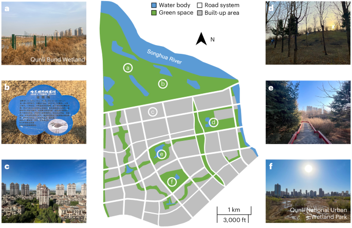 Impacts of nature-inclusive urban development on well-being and fairness perceptions