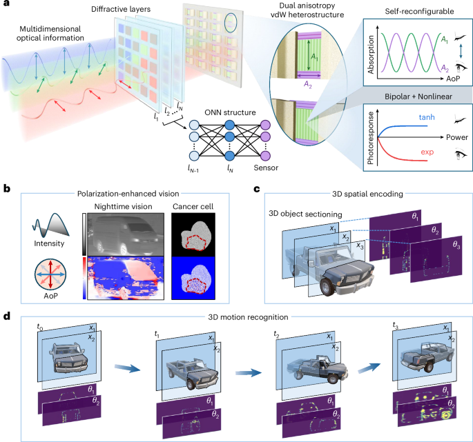 Self-reconfigurable polarization perception in dual-anisotropy heterostructures for high-dimensional in-sensor computing