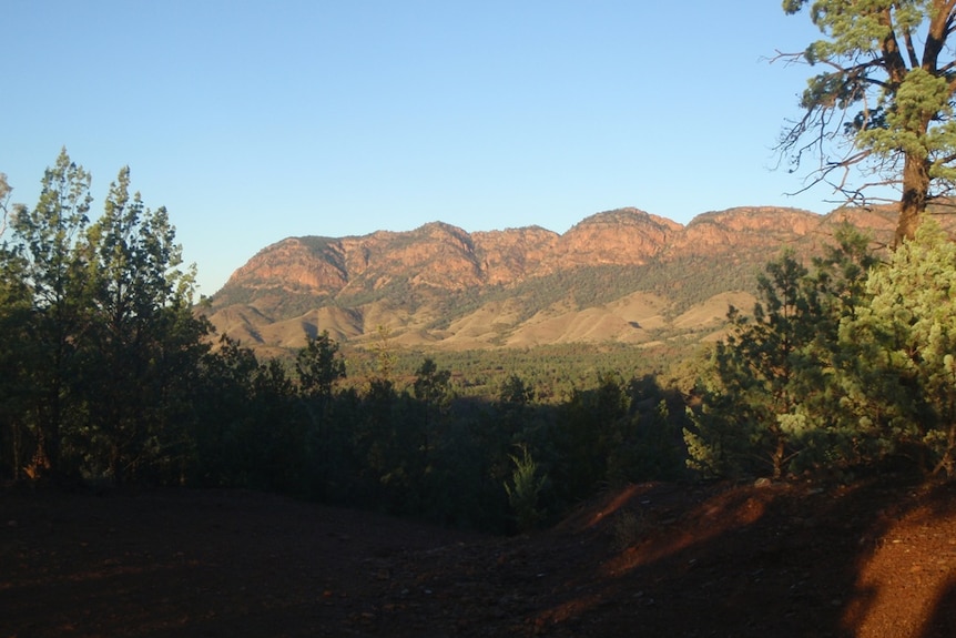 Early morning light on the Flinders Ranges in the distance