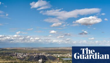 Using AI to prepare and evaluate environmental assessments risks ‘robodebt-style’ failures, scientists say | Environment