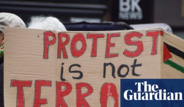 Palestine Action ban created ‘culture of fear’, UK appeal court hears | Palestine Action