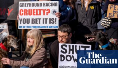 Keir Starmer urged to ban ‘cruel’ greyhound racing in England | Greyhound racing