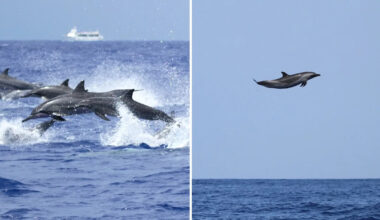 Yahoo lifestyle home