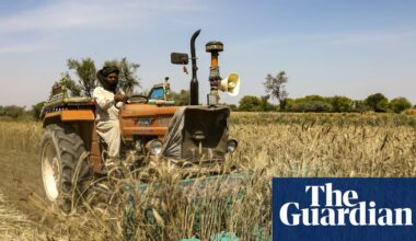 ‘Food security timebomb’: a visual guide to the Gulf fertiliser blockade | Strait of Hormuz