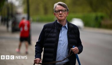Lord Peter Mandelson wears a blue shirt and a dark jacket as he walks his dog