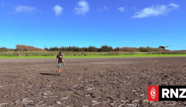 Volunteers work to save eels trapped in mud of dried-up Pukepuke Lagoon