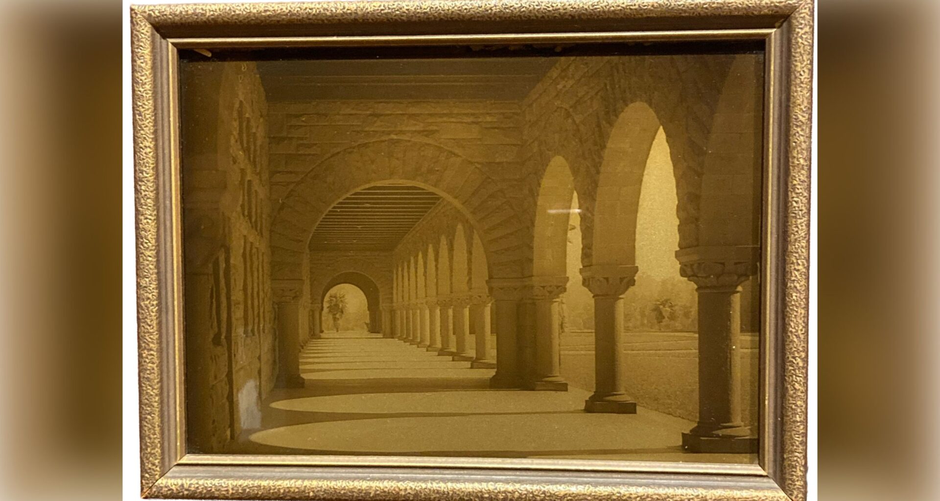 Forget digital RGB, this little-known historic photography technique created golden images