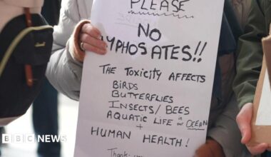A sign which says 'please no glyphosate the toxicity affects birds, butterflies, insects, bees, aquatic life in our ocean and human health'.