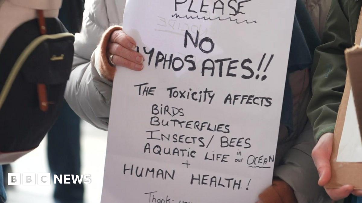 A sign which says 'please no glyphosate the toxicity affects birds, butterflies, insects, bees, aquatic life in our ocean and human health'.