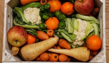 Study links fruit and vegetable-heavy diet with increased cancer risk - The Independent