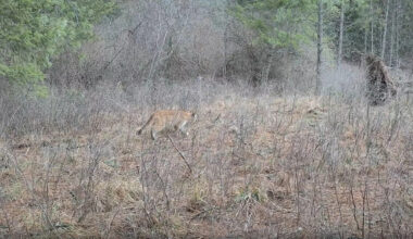 Yahoo lifestyle home