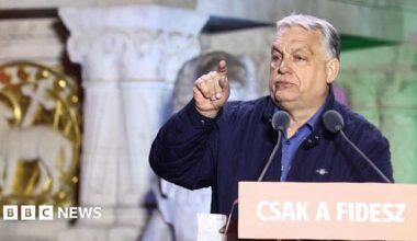Viktor Orban addresses a crowd with a spectacular backdrop