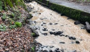 Council to seek legal advice in fight against polluters at east Belfast beauty spot – The Irish News