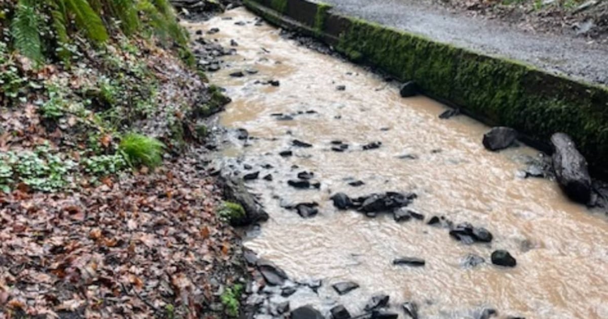 Council to seek legal advice in fight against polluters at east Belfast beauty spot – The Irish News