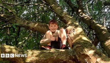 A boy giving a thumbs up while climbing in a tree