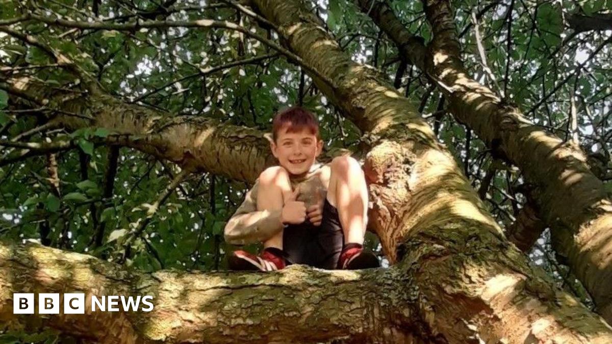 A boy giving a thumbs up while climbing in a tree