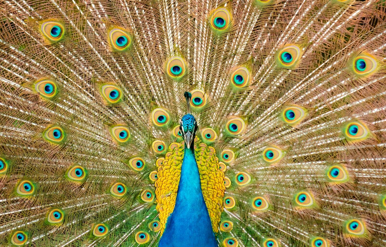 6 habits of people who handle money quietly and never feel the need to perform either their abundance or their restraint for anyone watching